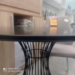 Стол обеденный Монако. 4