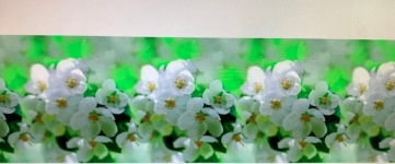 Стеновые панели 10