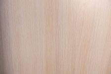 Шкаф-купе "Бася" 6